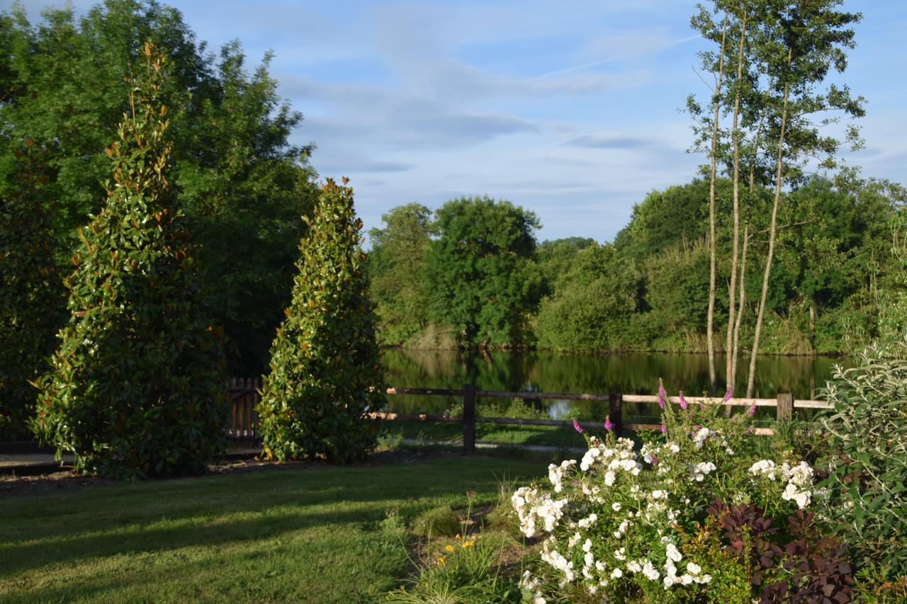 La Francoisiere Bed & Breakfast Loigne-sur-Mayenne ภายนอก รูปภาพ